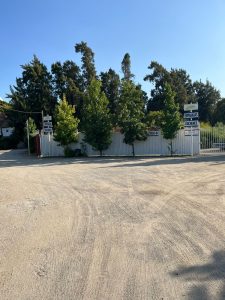 whatsapp image 2025 07 07 at 12.52.53 (2)