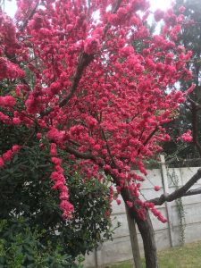 whatsapp image 2025 07 07 at 12.57.18