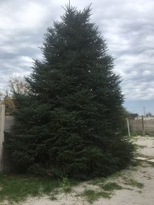 whatsapp image 2025 07 07 at 12.57.19 (2)