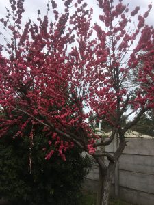 whatsapp image 2025 07 07 at 12.57.19